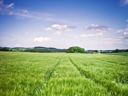 盘点cf可以白嫖的免费服务